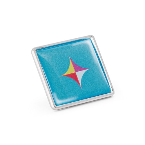 Pin